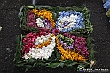 VBS_9713 - Infiorata di Villanova d'Asti 2023